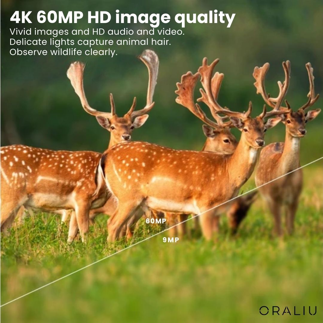 Caméra de Faune 4K Ultra HD avec 60MP et Contrôle par Application